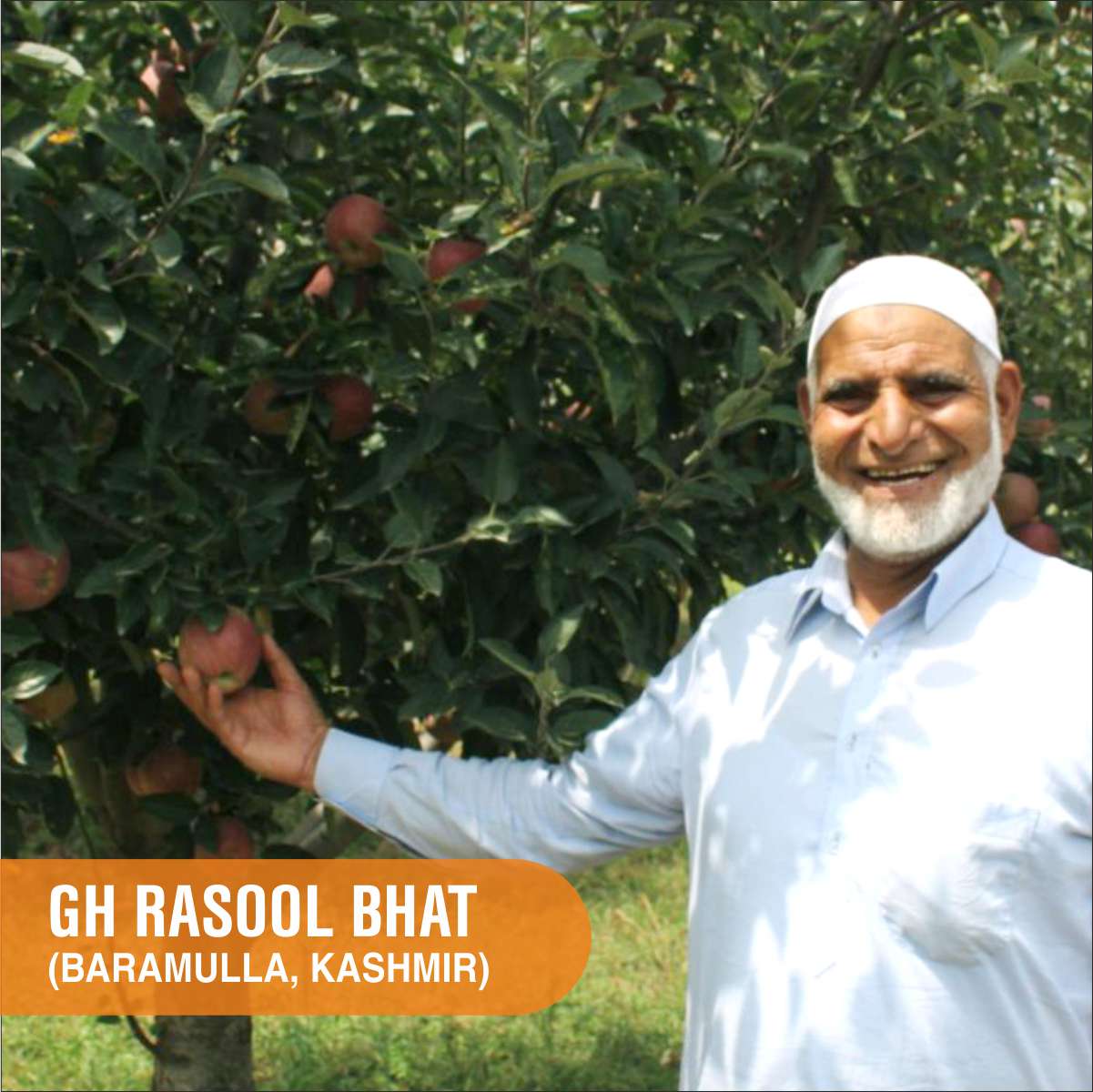 Apple farmer Rasool Bhat Apple farmer Rasool Bhat