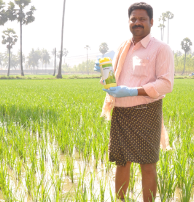 Rice Farmer Rice Farmer