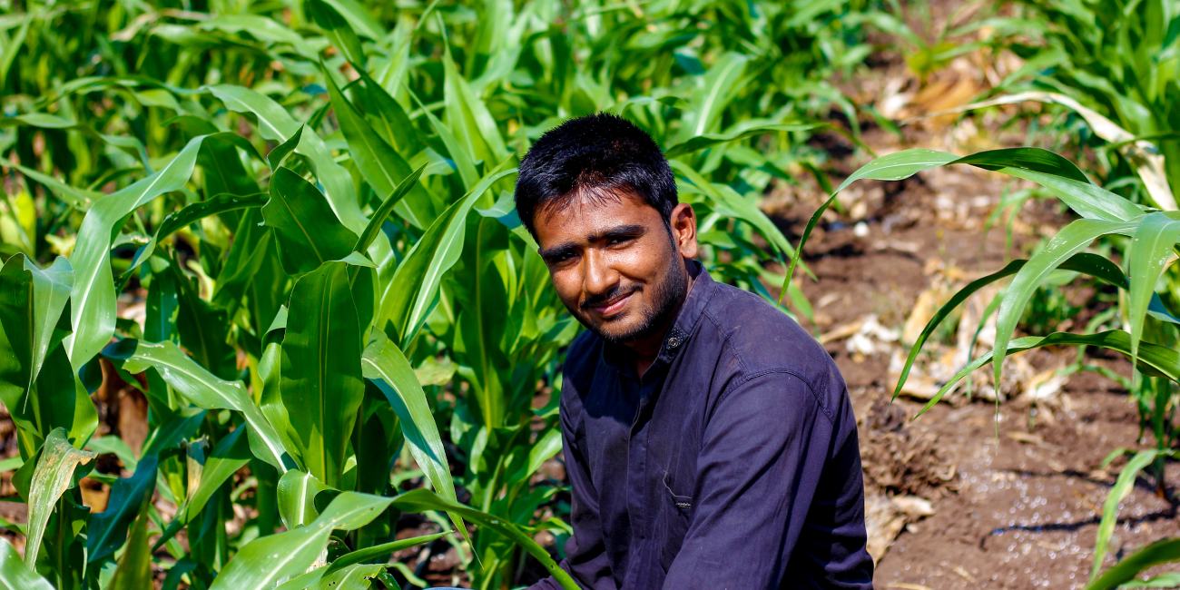 Corn farmer in Indi