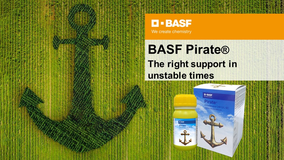BASF Pirate