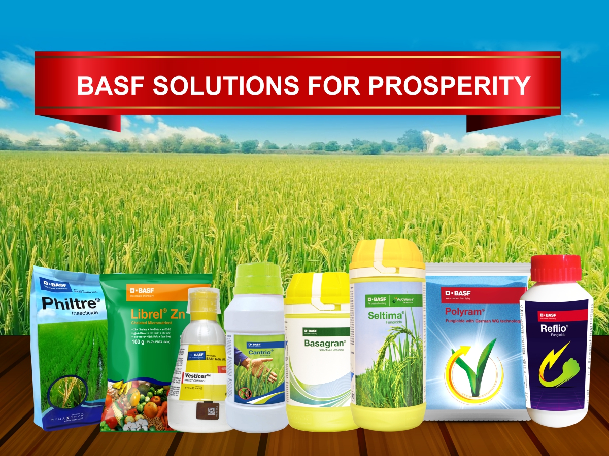 Solutions for Rice Growers | BASF Crop Protection India