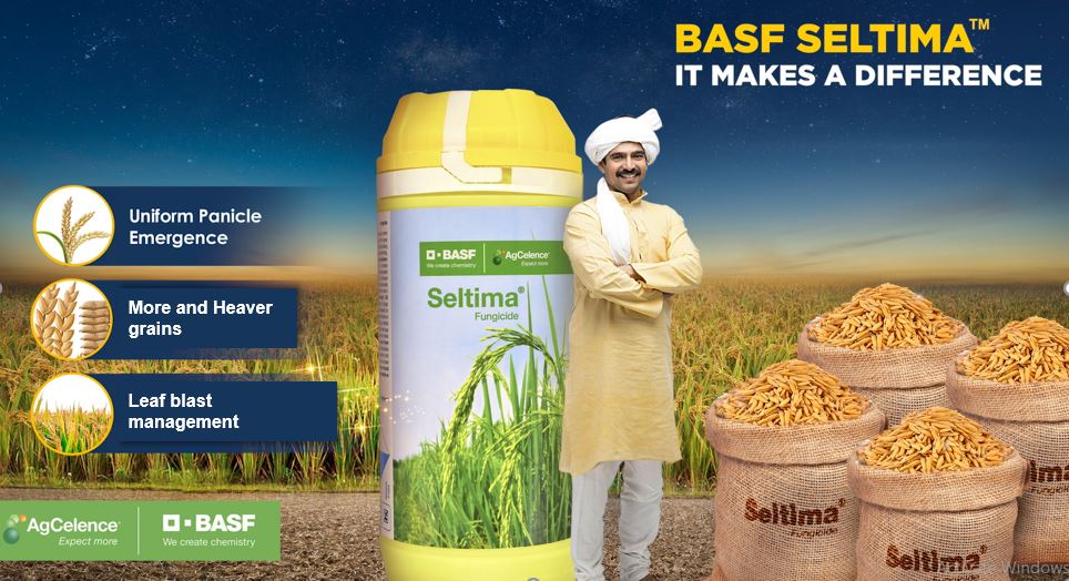 Solutions for Rice Growers  BASF Crop Protection India