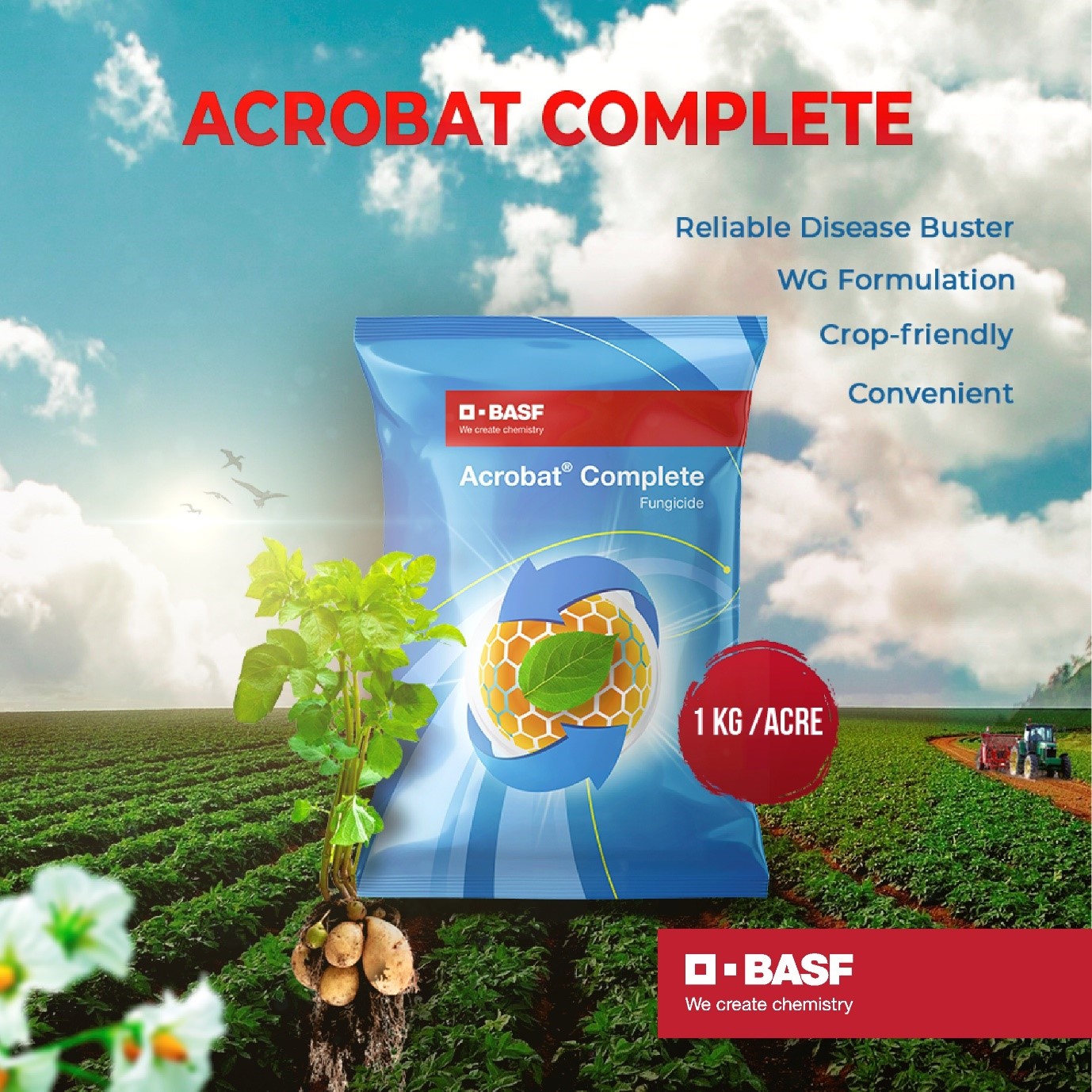 BASF Solutions for Potato  Farming and Crop Protection