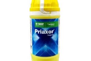 Priaxor
