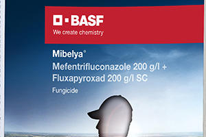 mibelya